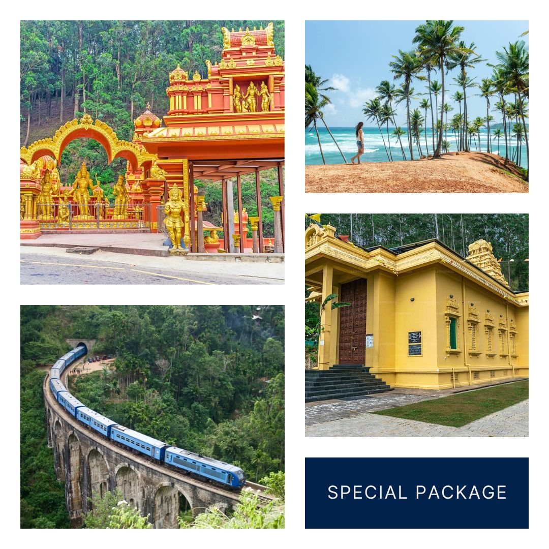 Special Tour Package